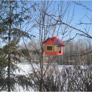 акция "Покормите птиц зимой"