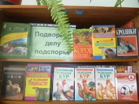 Подворье - делу подспорье