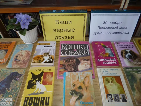 Ваши верные друзья